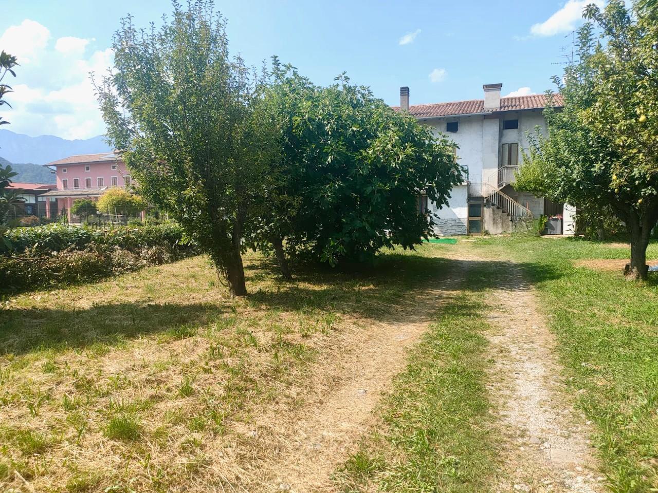 immagine annuncio 11 di 14