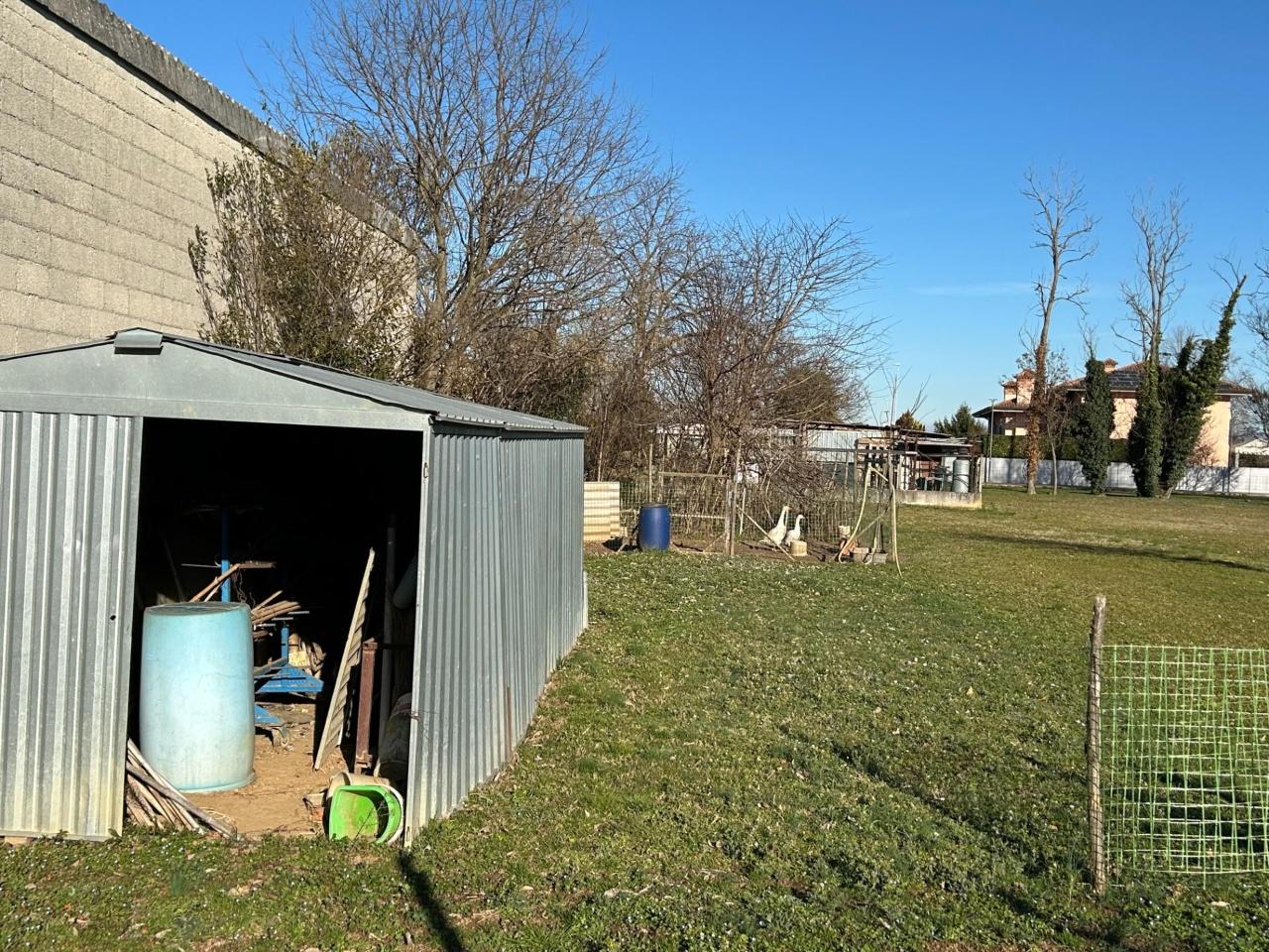 immagine annuncio 6 di 14