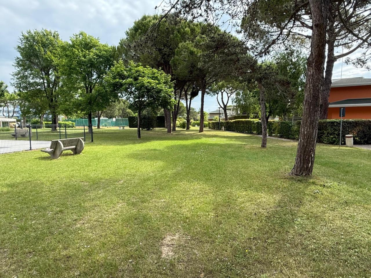 immagine annuncio 11 di 14