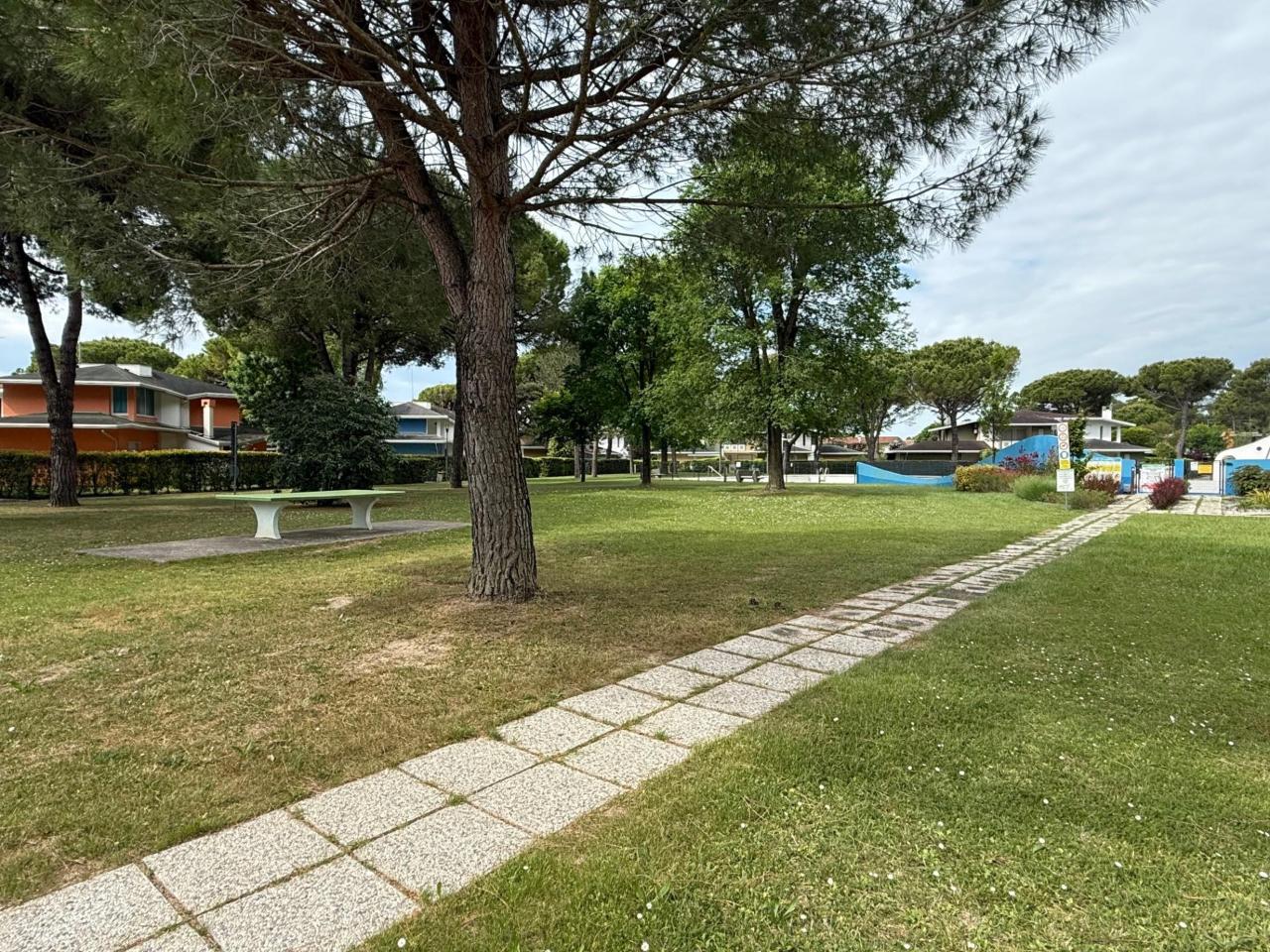 immagine annuncio 13 di 14