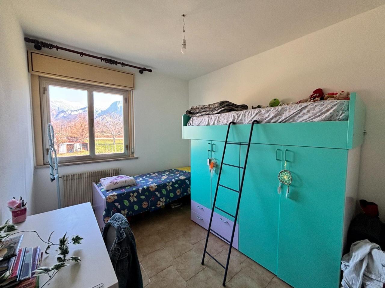 immagine annuncio 11 di 14