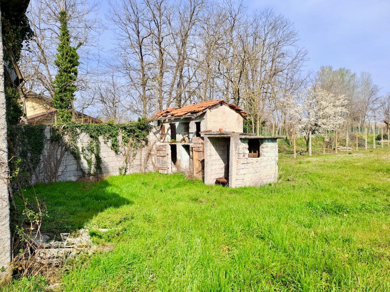 immagine annuncio 6 di 10