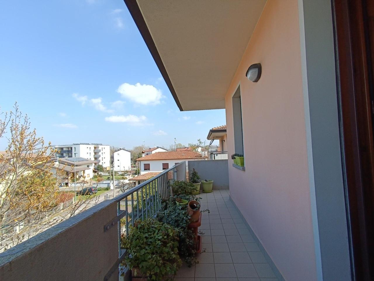 immagine annuncio 3 di 11