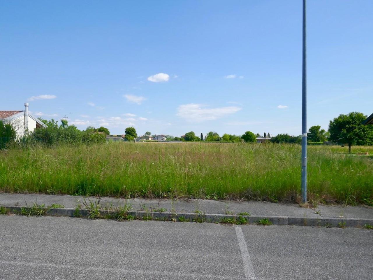 immagine annuncio 2 di 7