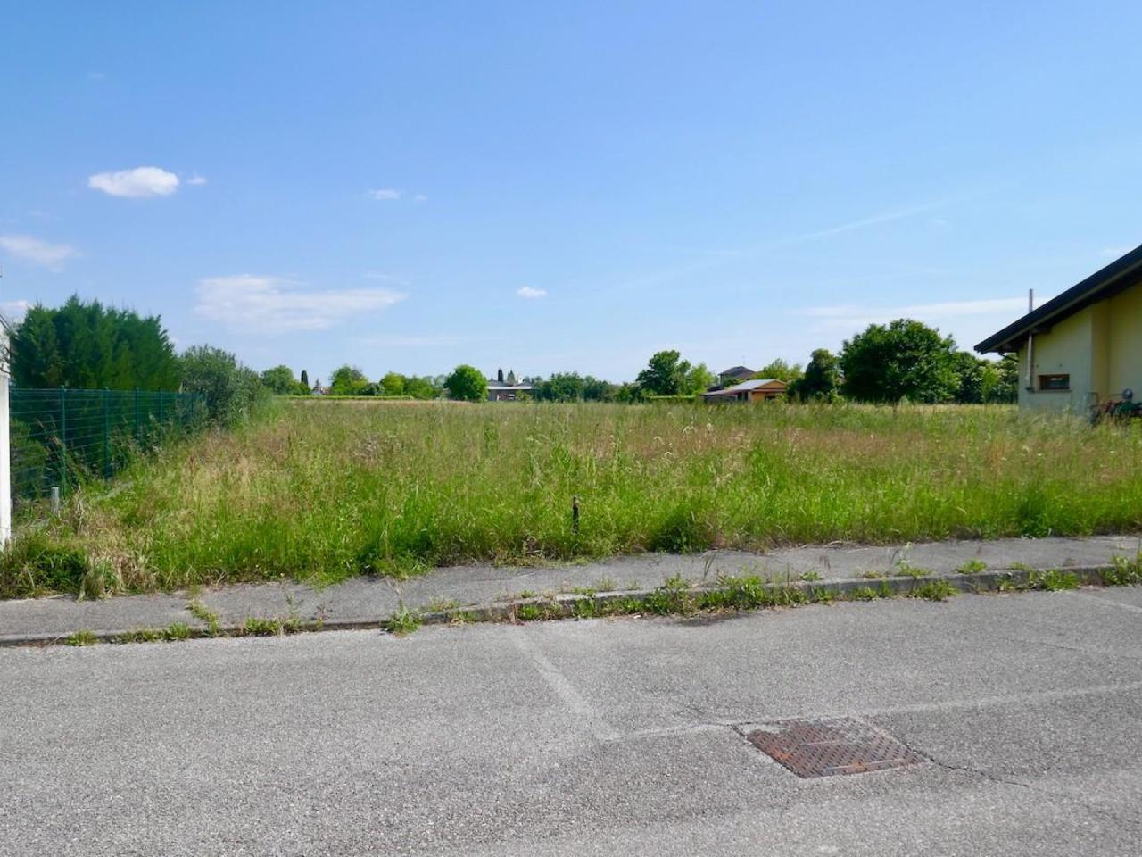 immagine annuncio 4 di 7