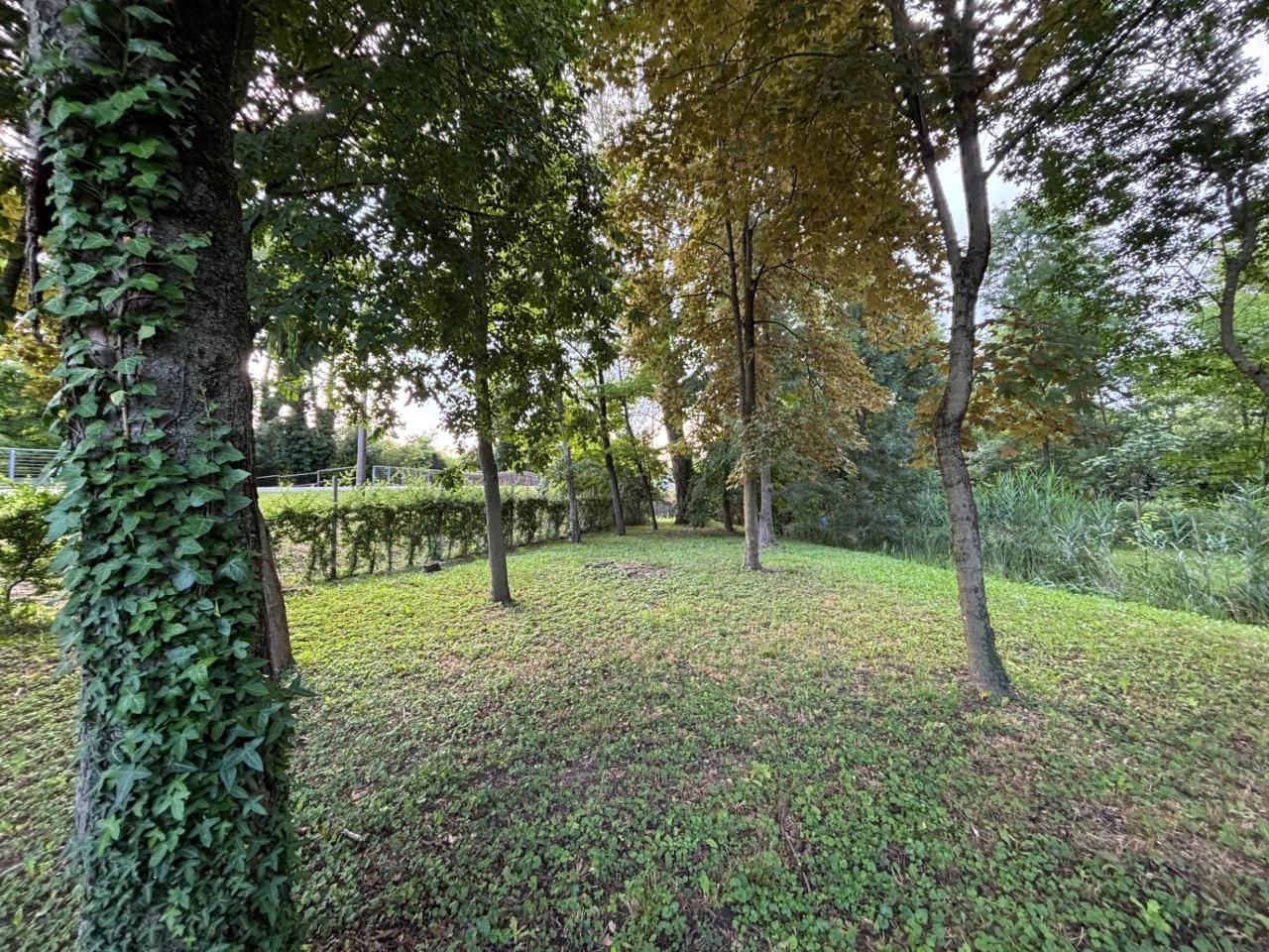 immagine annuncio 8 di 13