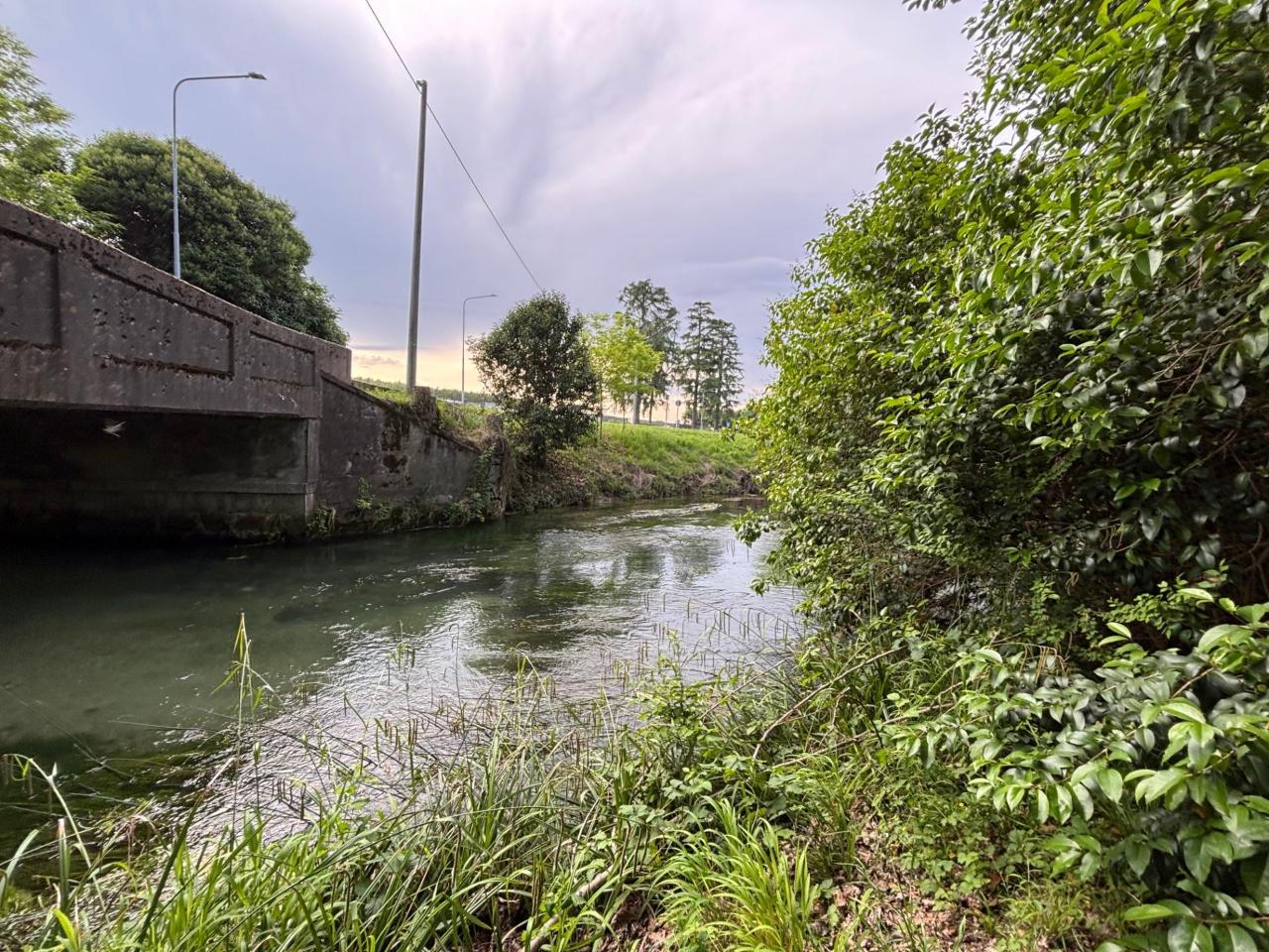 immagine annuncio 7 di 13