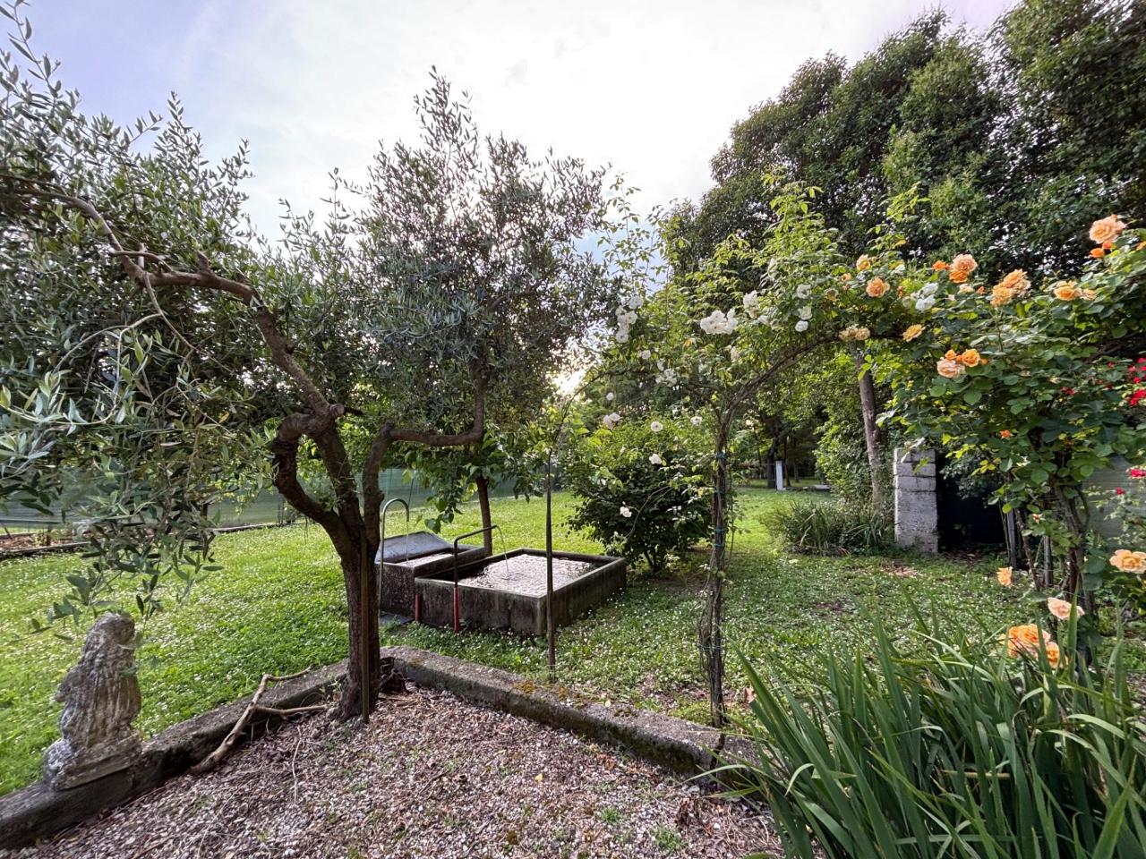 immagine annuncio 11 di 13