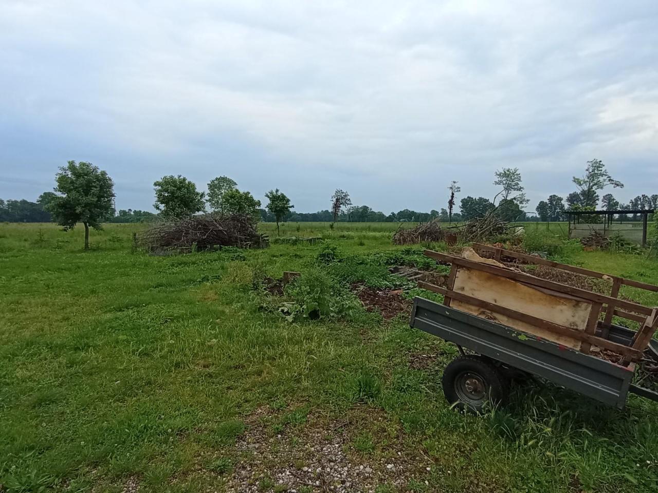 immagine annuncio 5 di 9