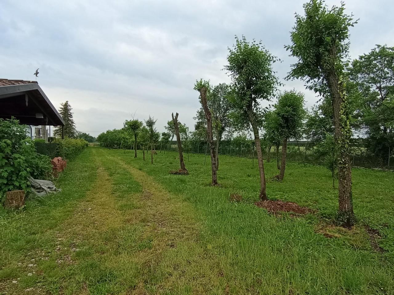 immagine annuncio 6 di 9