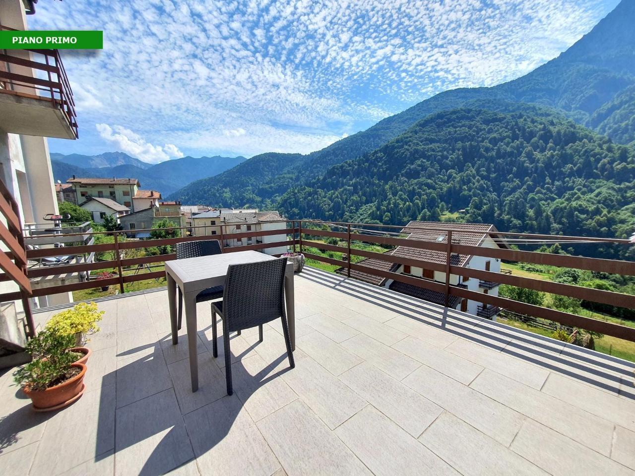 immagine annuncio 5 di 12