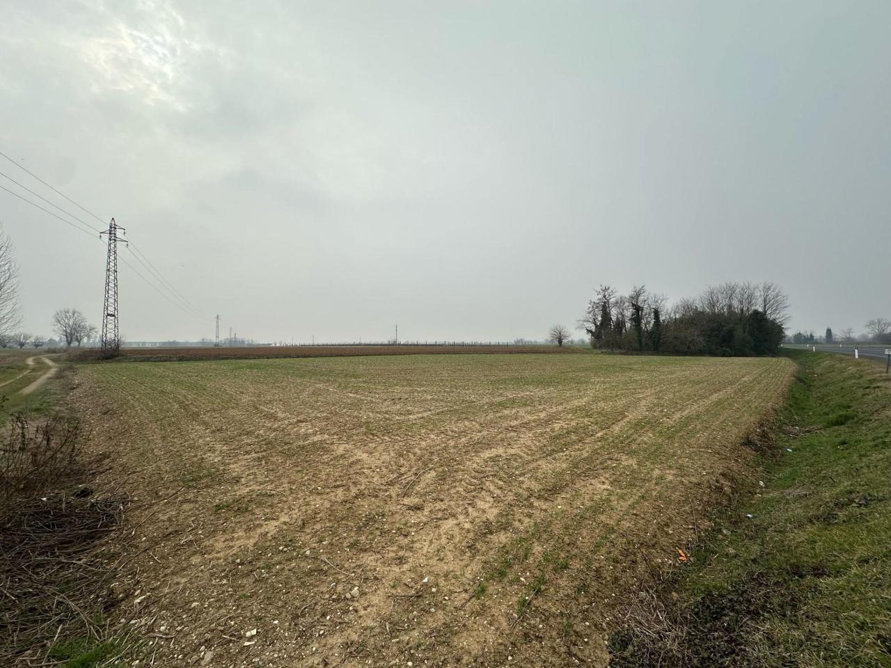 immagine annuncio 2 di 4