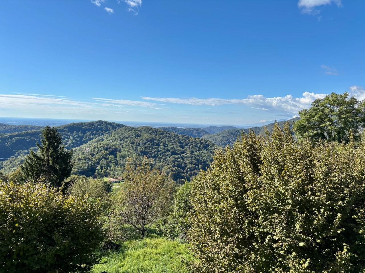 immagine annuncio 1 di 14