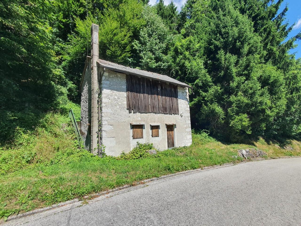 immagine annuncio 7 di 8