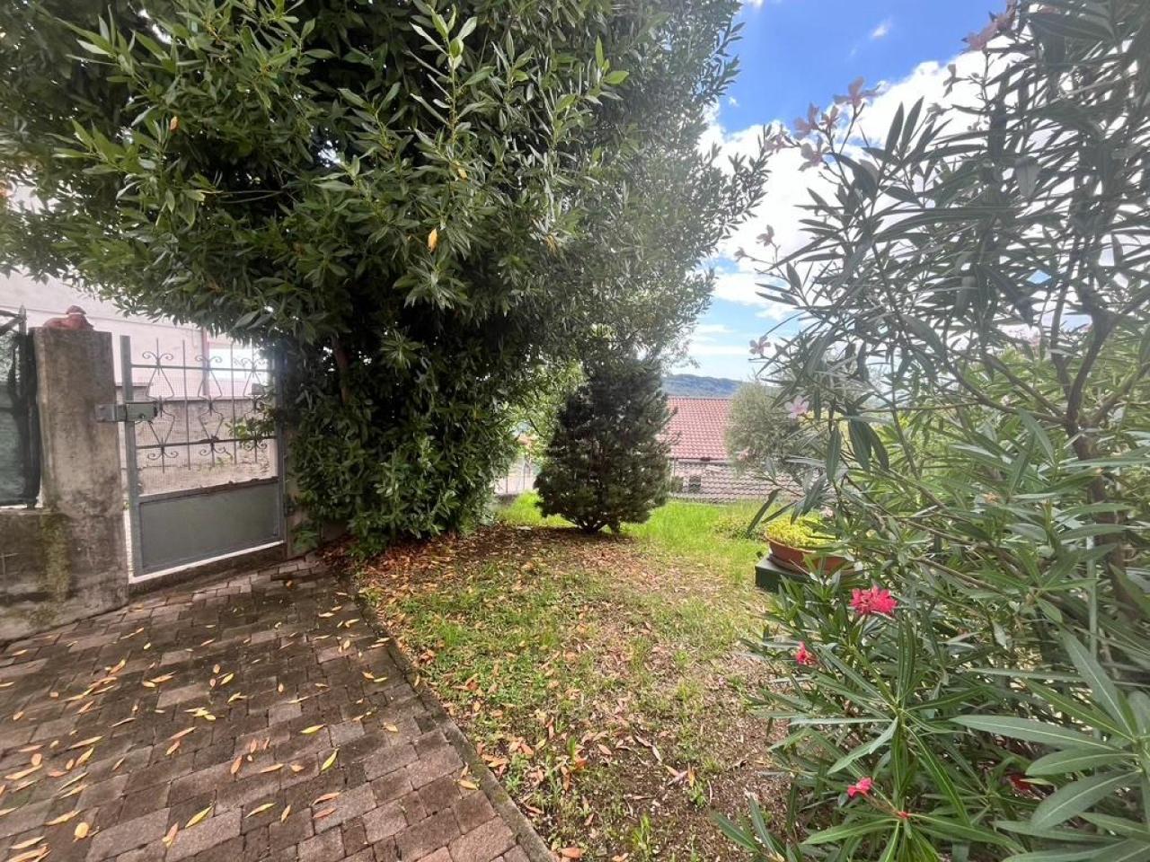 immagine annuncio 6 di 12