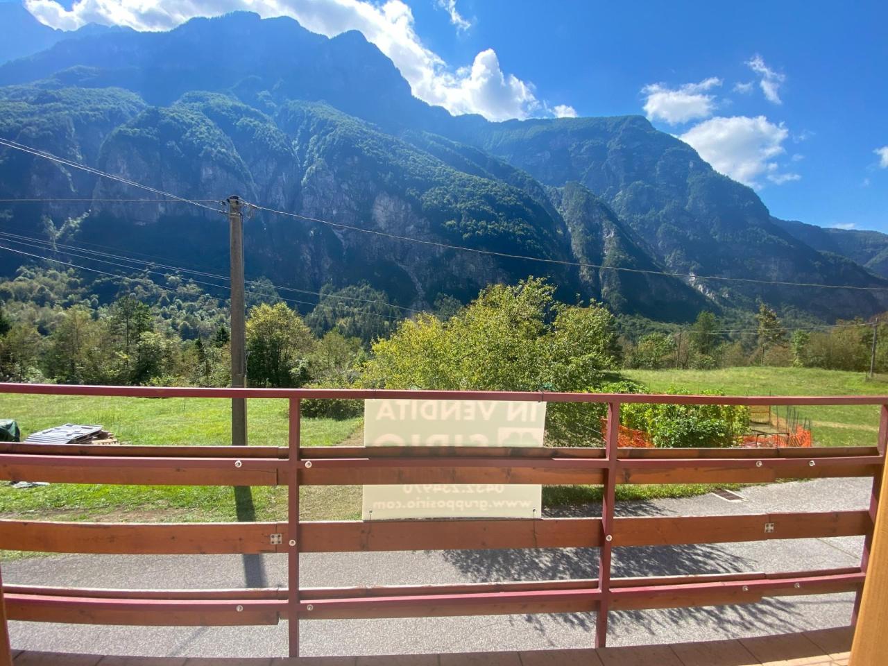 immagine annuncio 12 di 14