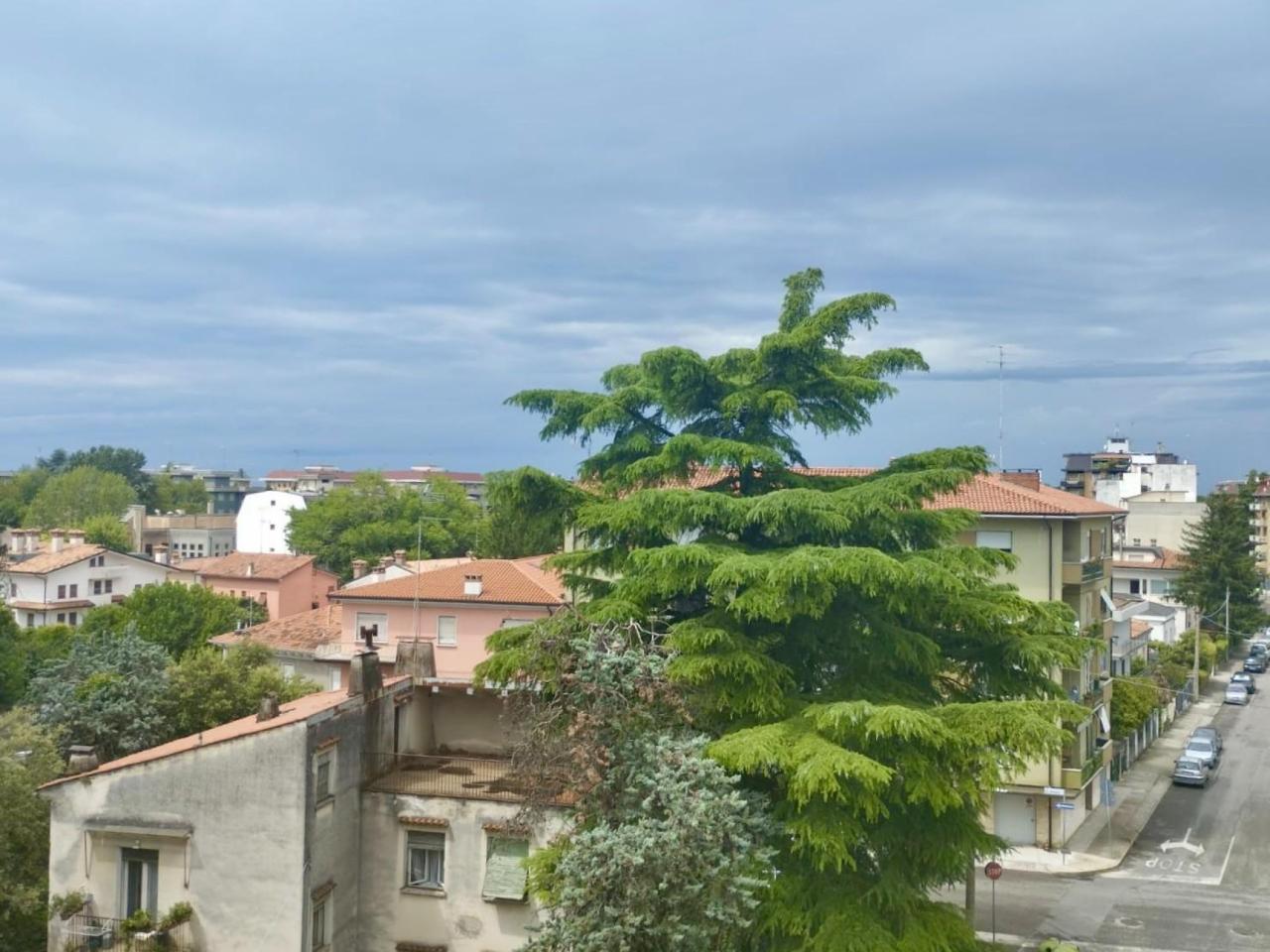 immagine annuncio 8 di 13