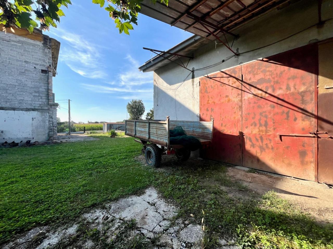 immagine annuncio 10 di 14