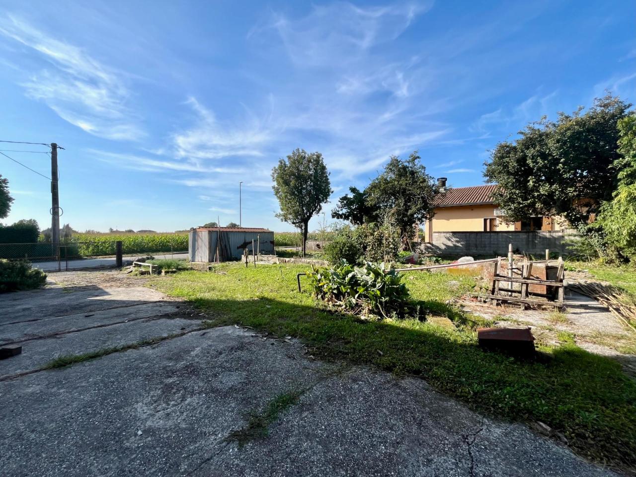 immagine annuncio 11 di 14