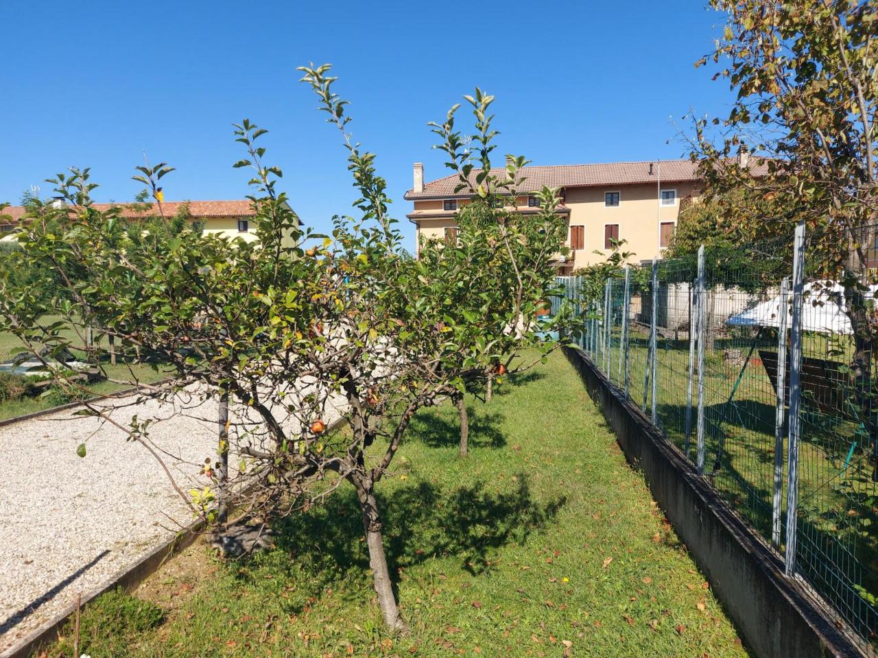 immagine annuncio 8 di 12