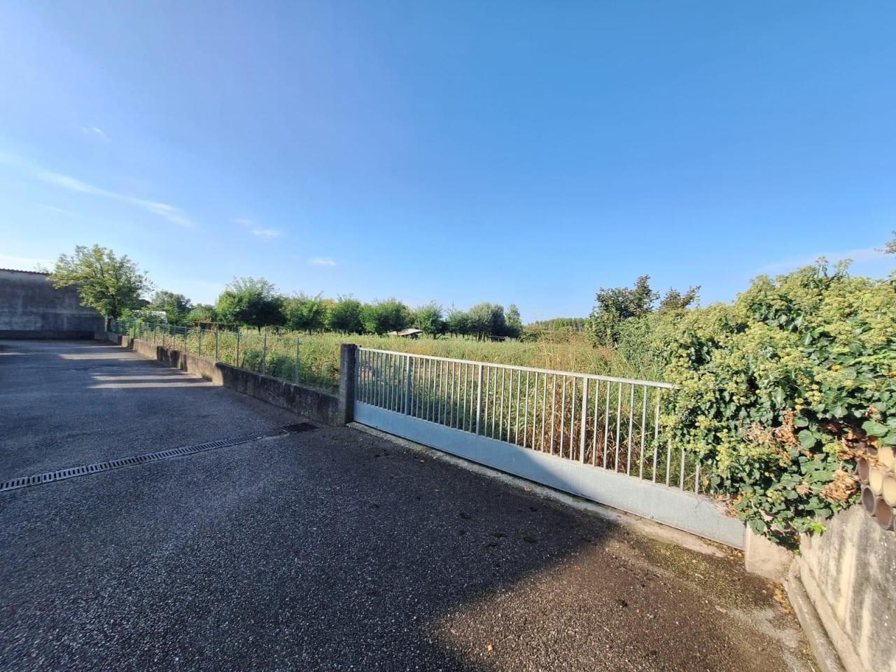 immagine annuncio 2 di 3