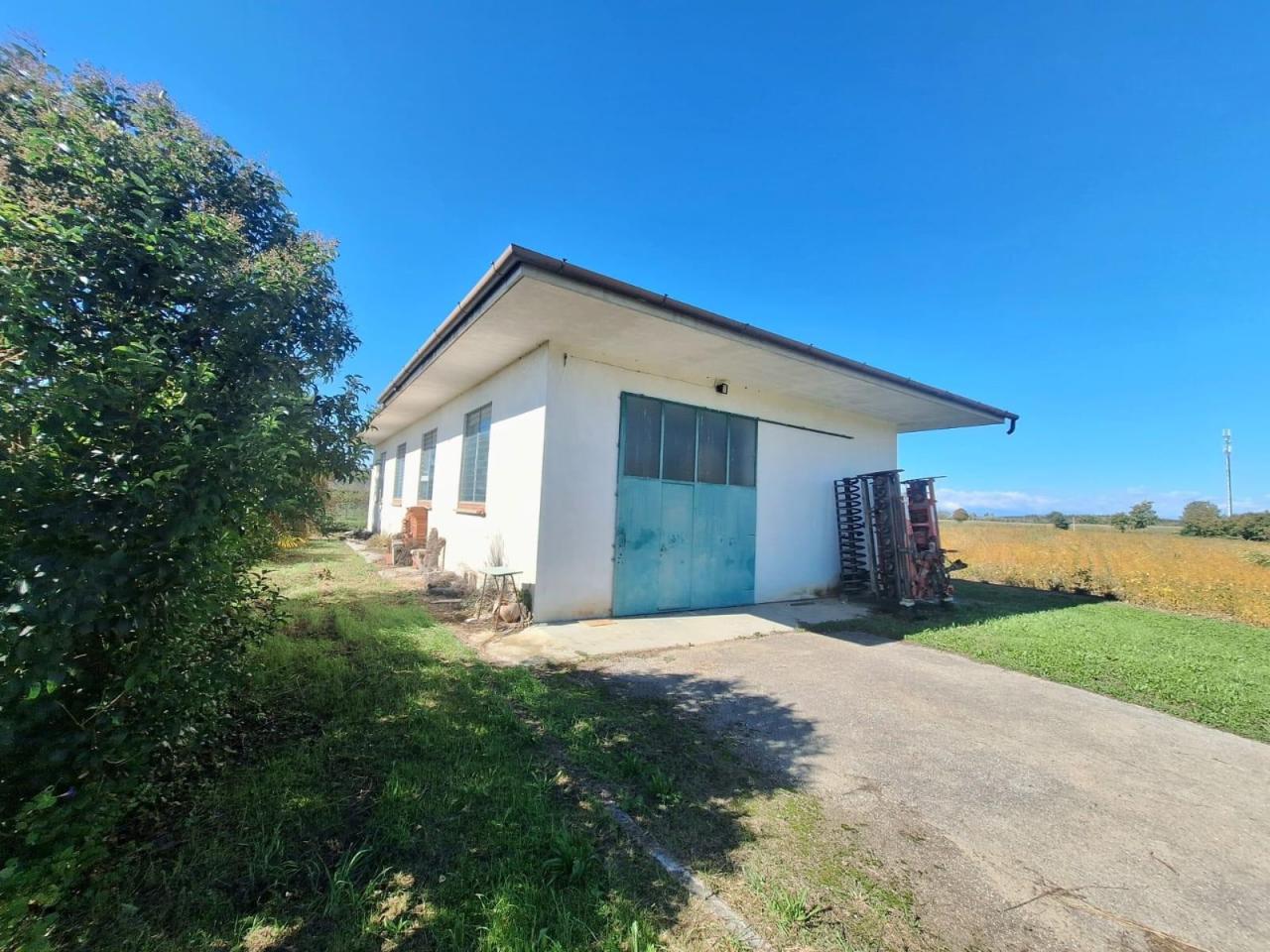 immagine annuncio 12 di 14