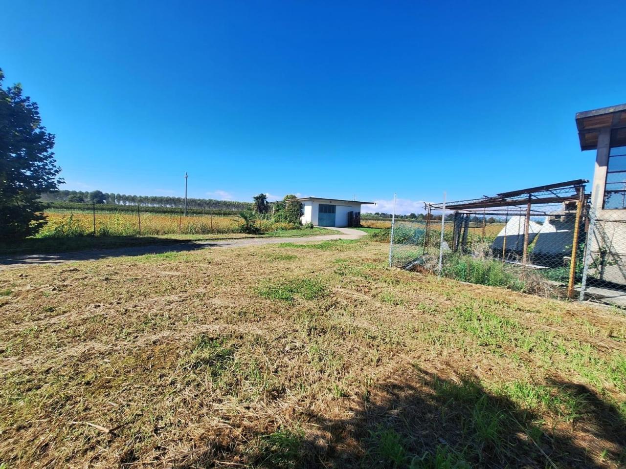 immagine annuncio 13 di 14