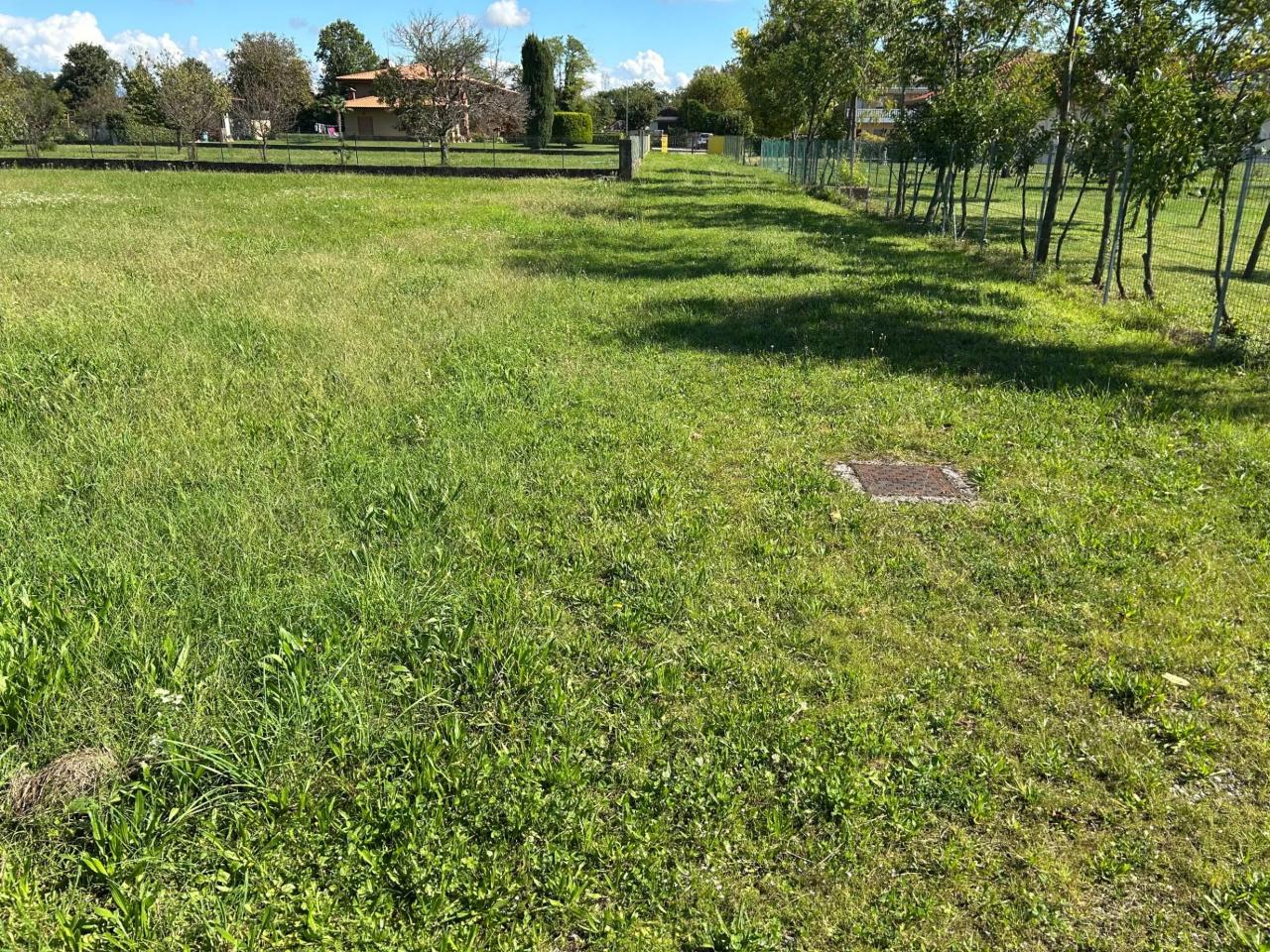 immagine annuncio 2 di 4