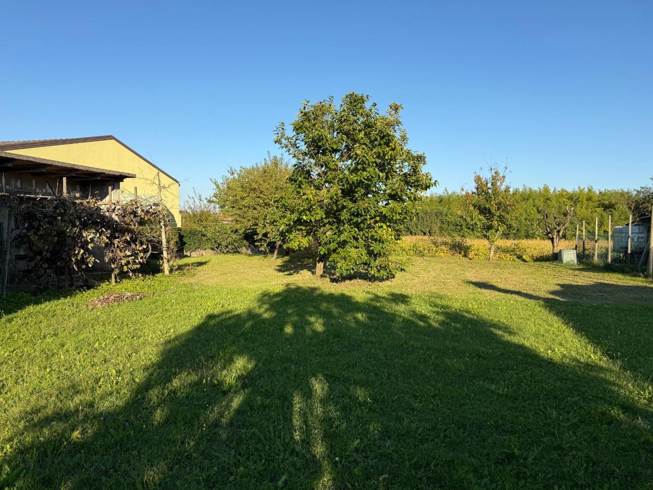 immagine annuncio 4 di 7