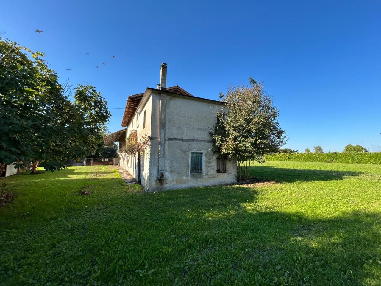 immagine annuncio 4 di 7