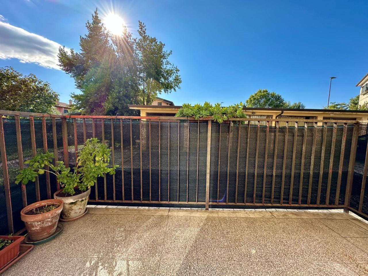 immagine annuncio 7 di 11