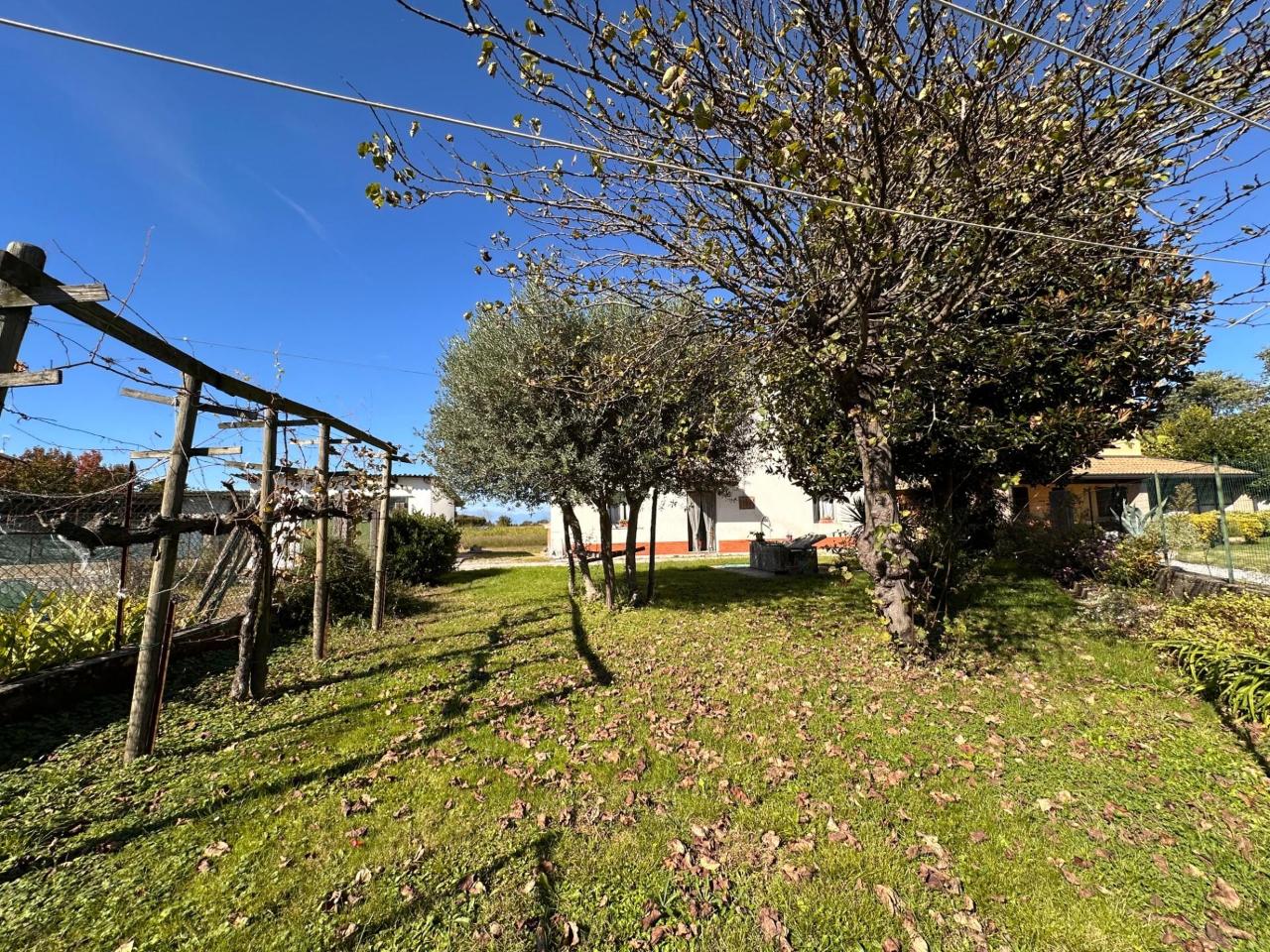 immagine annuncio 6 di 11