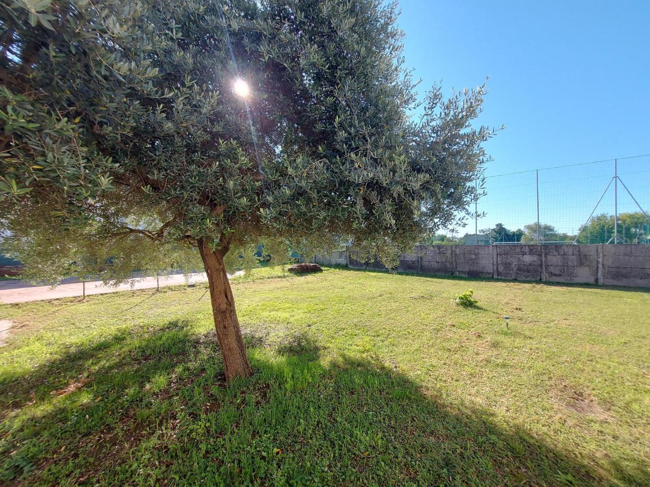 immagine annuncio 10 di 14