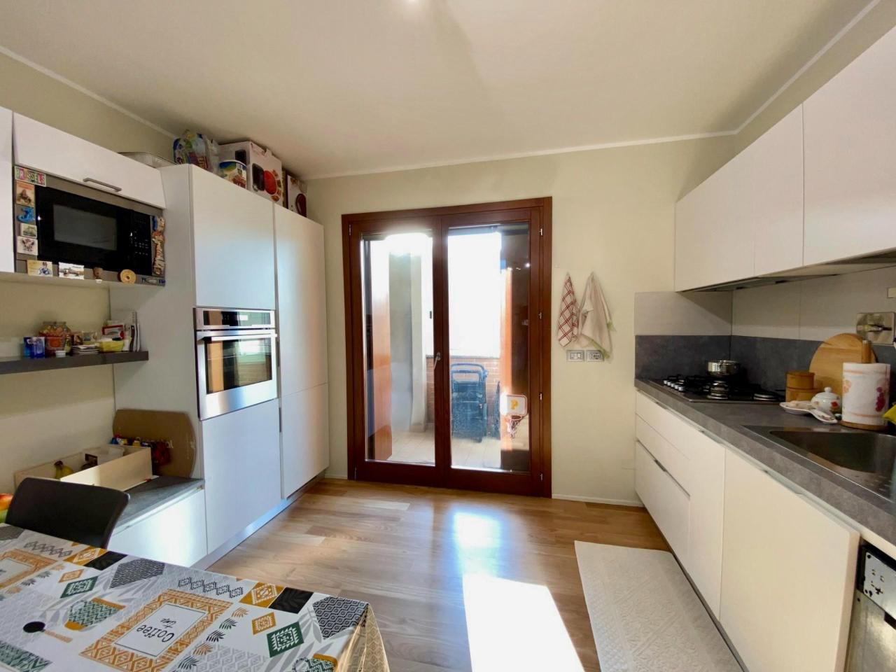 immagine annuncio 5 di 14