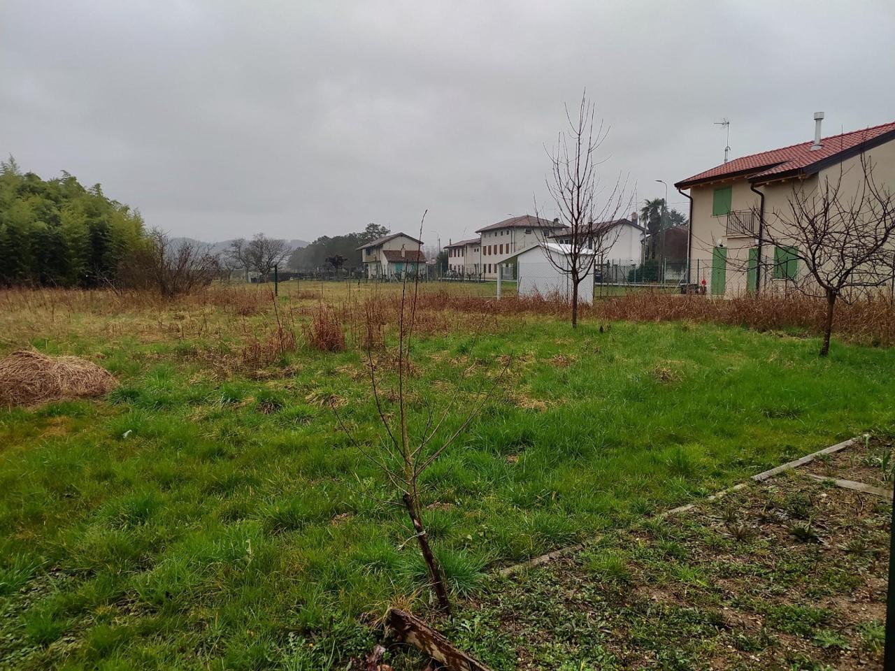 immagine annuncio 4 di 6