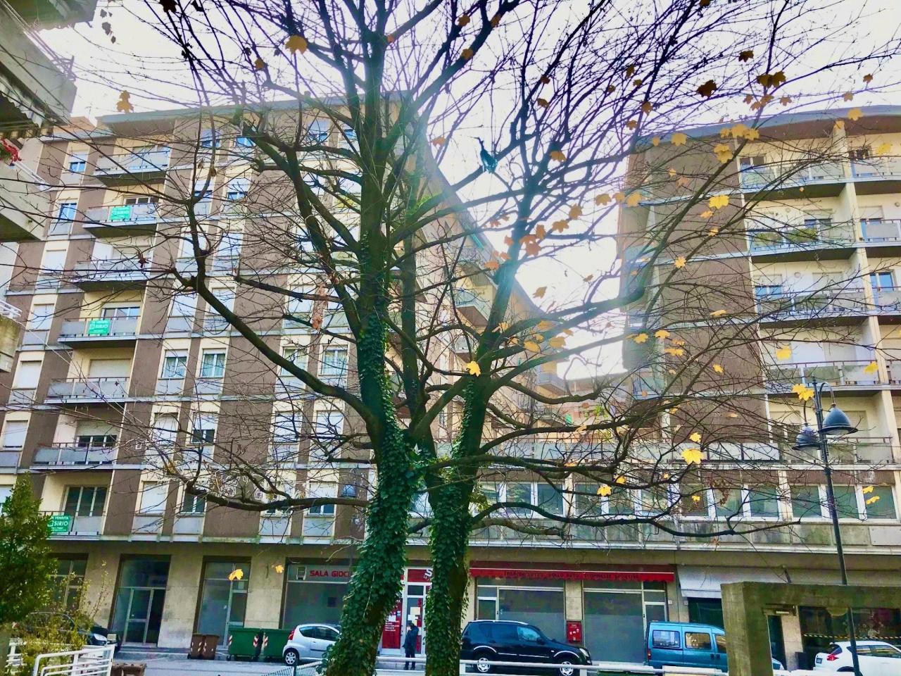 immagine annuncio 5 di 6