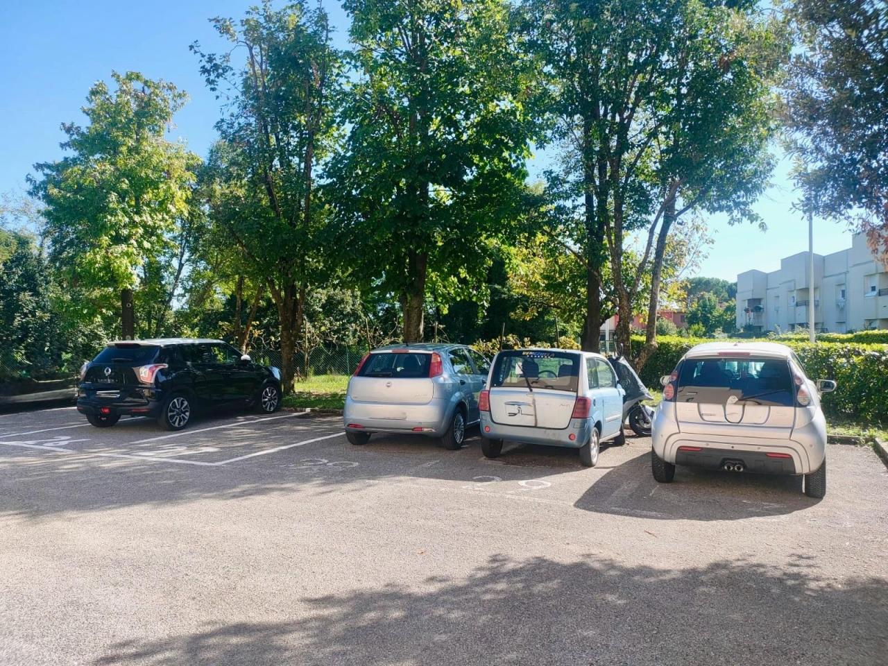 immagine annuncio 13 di 15