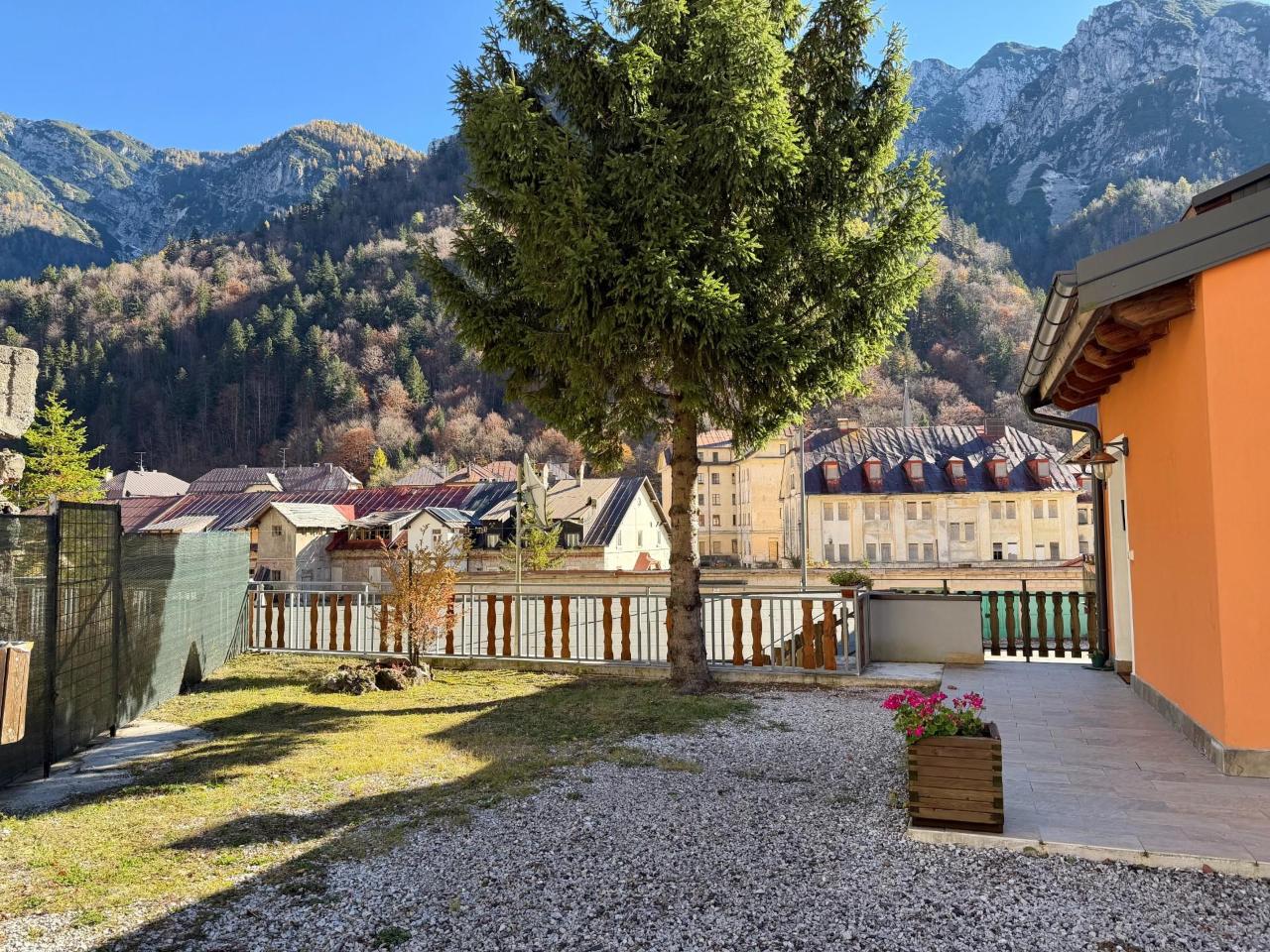 immagine annuncio 11 di 14