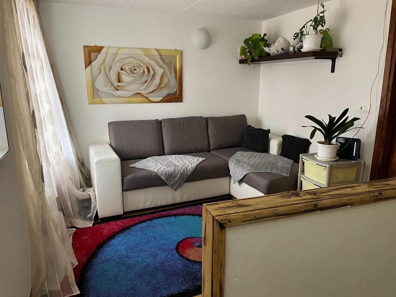 immagine annuncio 11 di 13