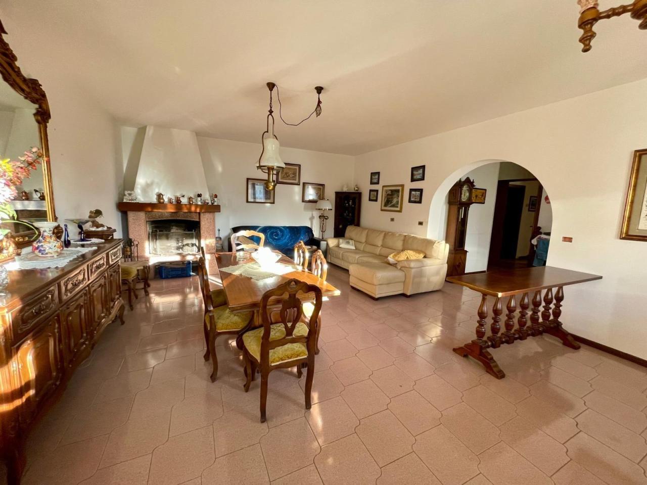 immagine annuncio 4 di 14