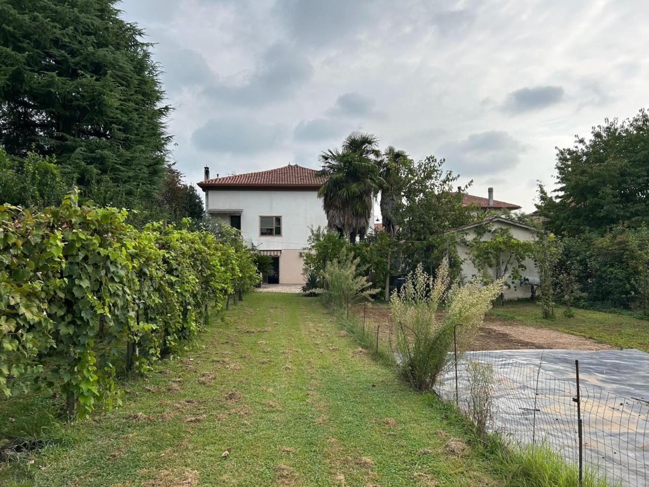 immagine annuncio 8 di 14