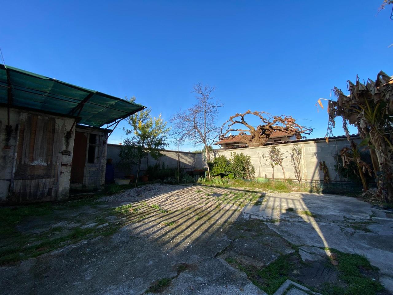 immagine annuncio 4 di 6