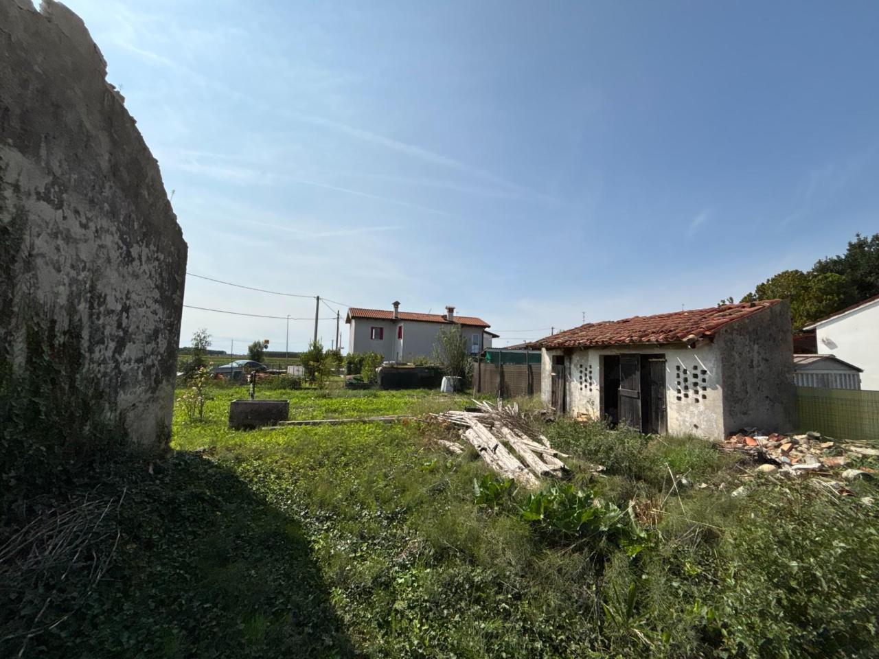 immagine annuncio 1 di 6