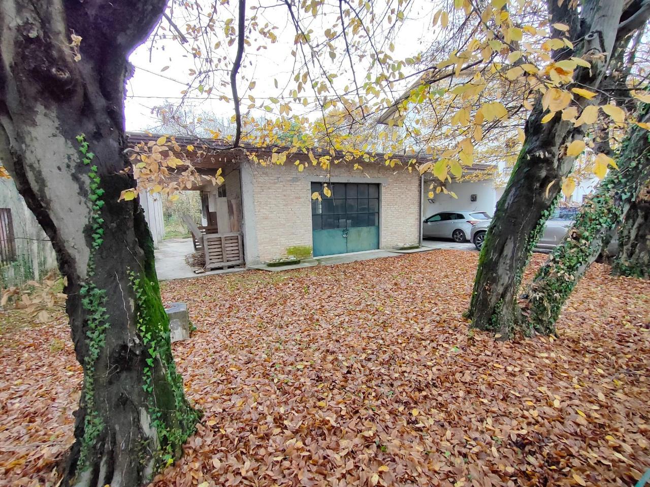 immagine annuncio 9 di 11