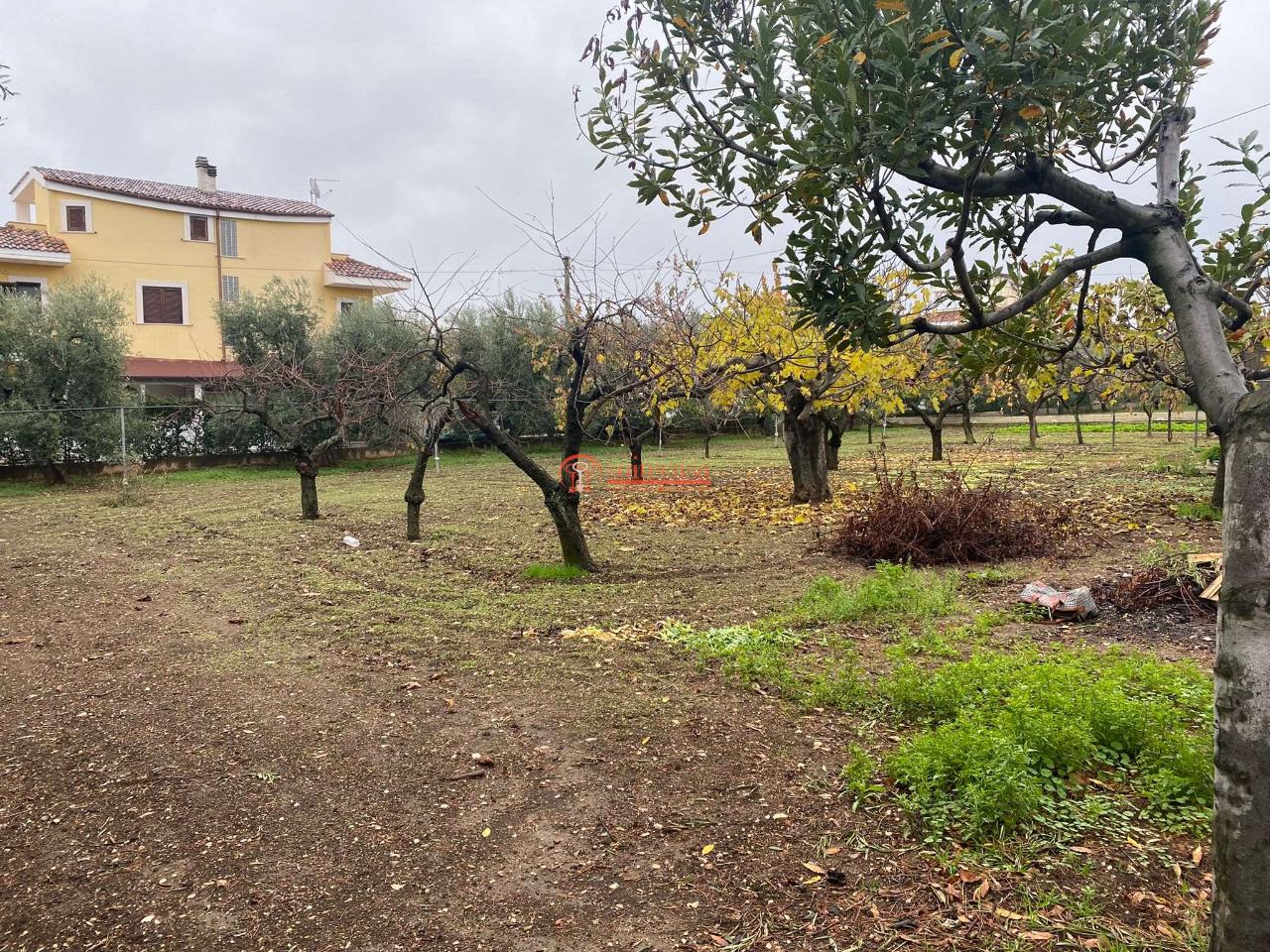 immagine annuncio 5 di 8