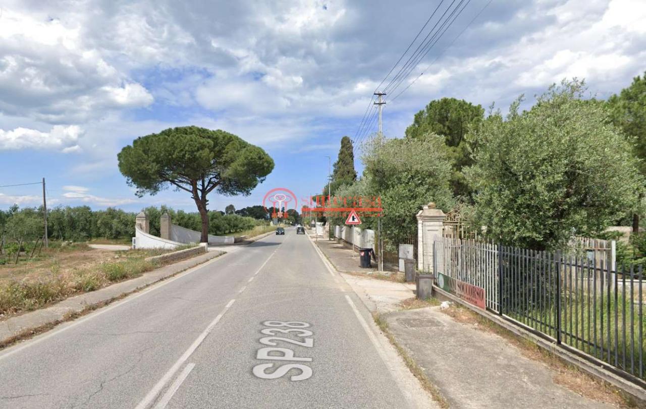 immagine annuncio 1 di 4