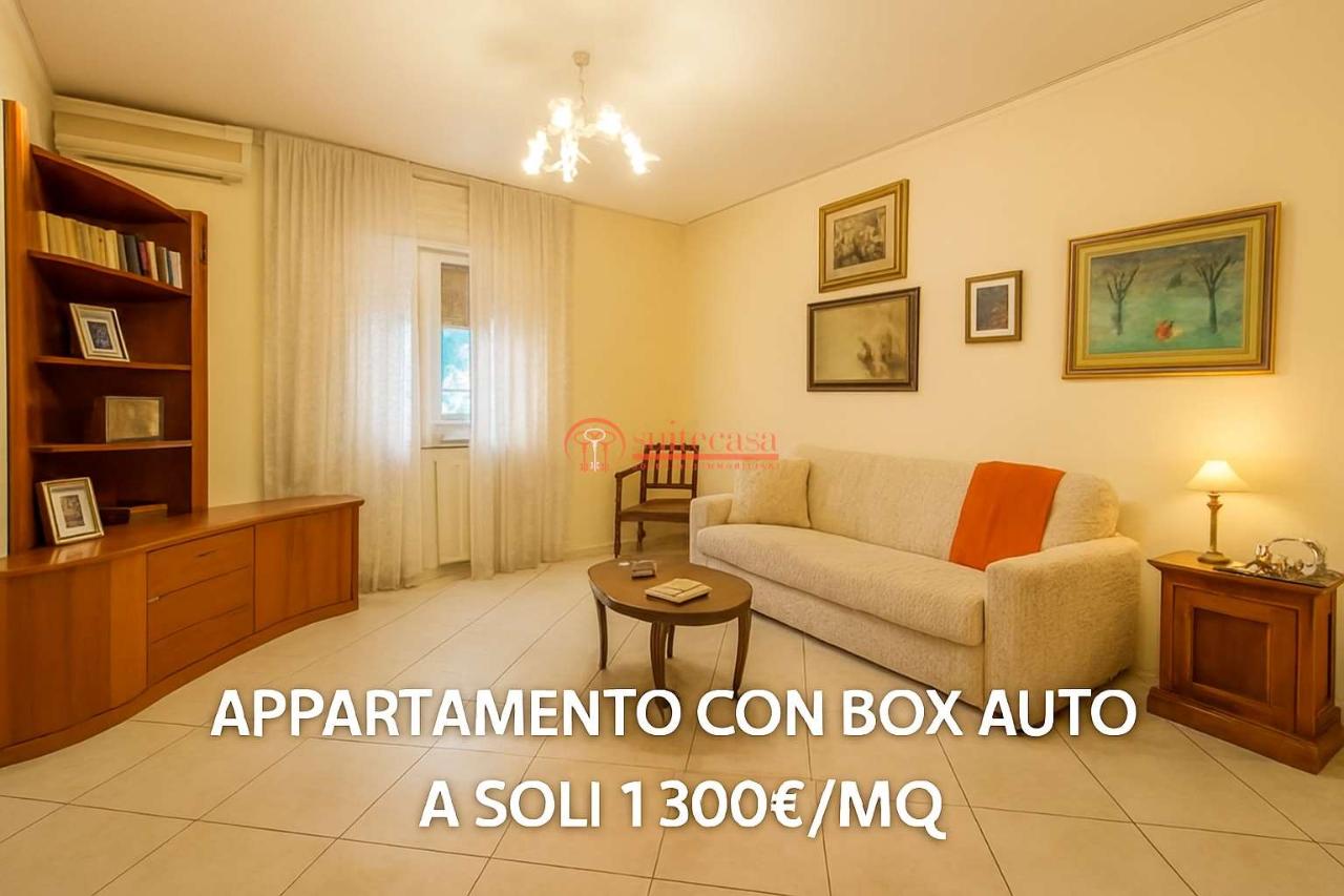 immagine annuncio 1 di 13