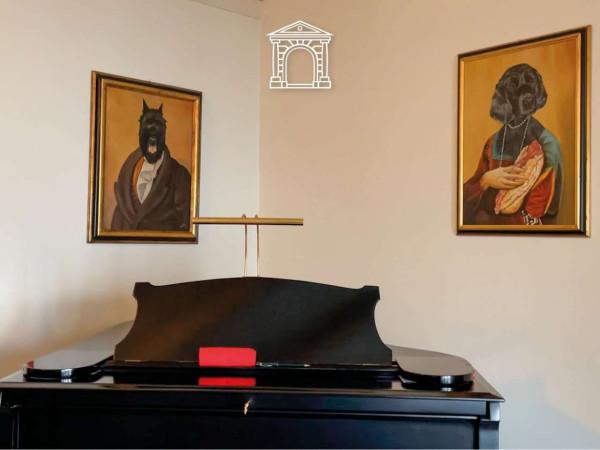 immagine annuncio 6 di 15