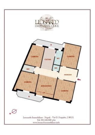 immagine annuncio 13 di 14