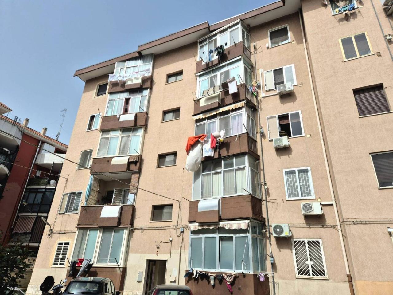 immagine annuncio 12 di 14